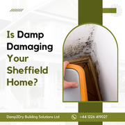 Is Damp Damaging Your Sheffield Home? -Damp2Dry Building Solutions Ltd